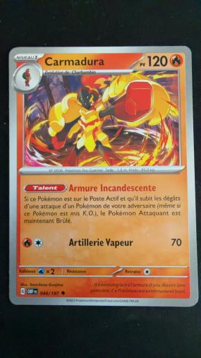 Aperçu collection