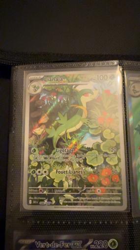 Aperçu collection